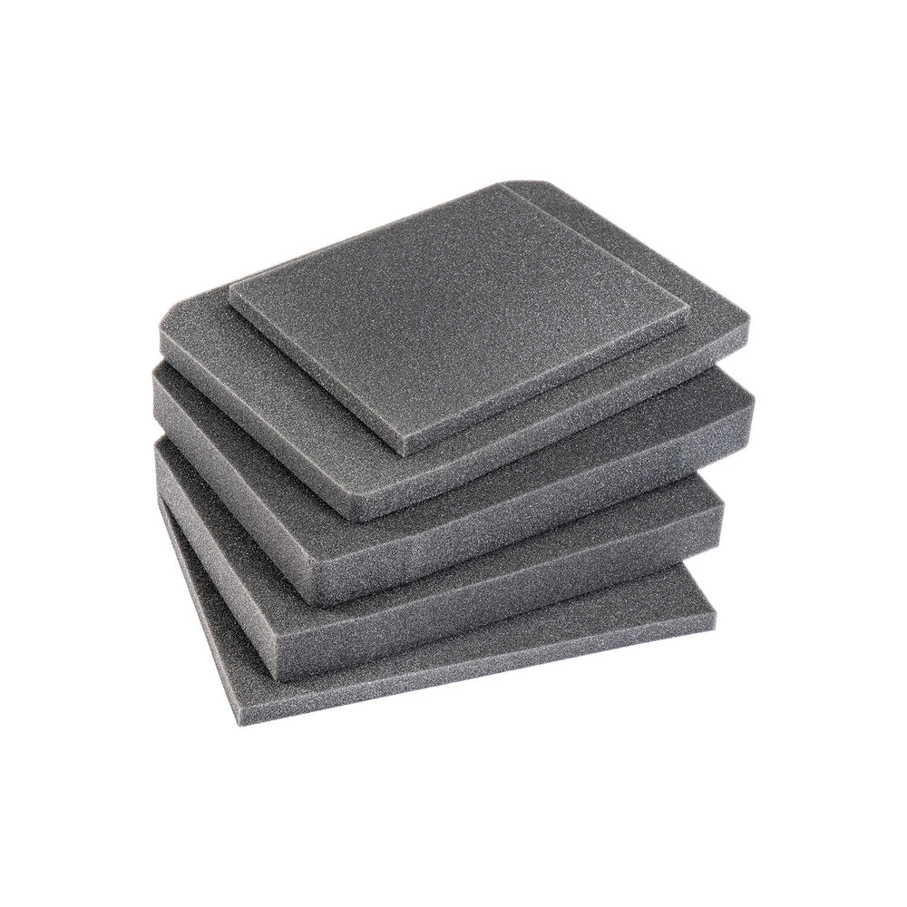 V200 Replacement Foam Set