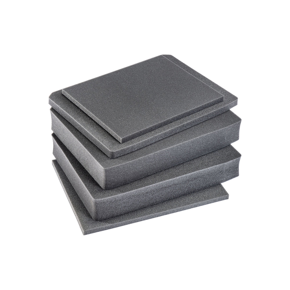 V550 Replacement Foam Set